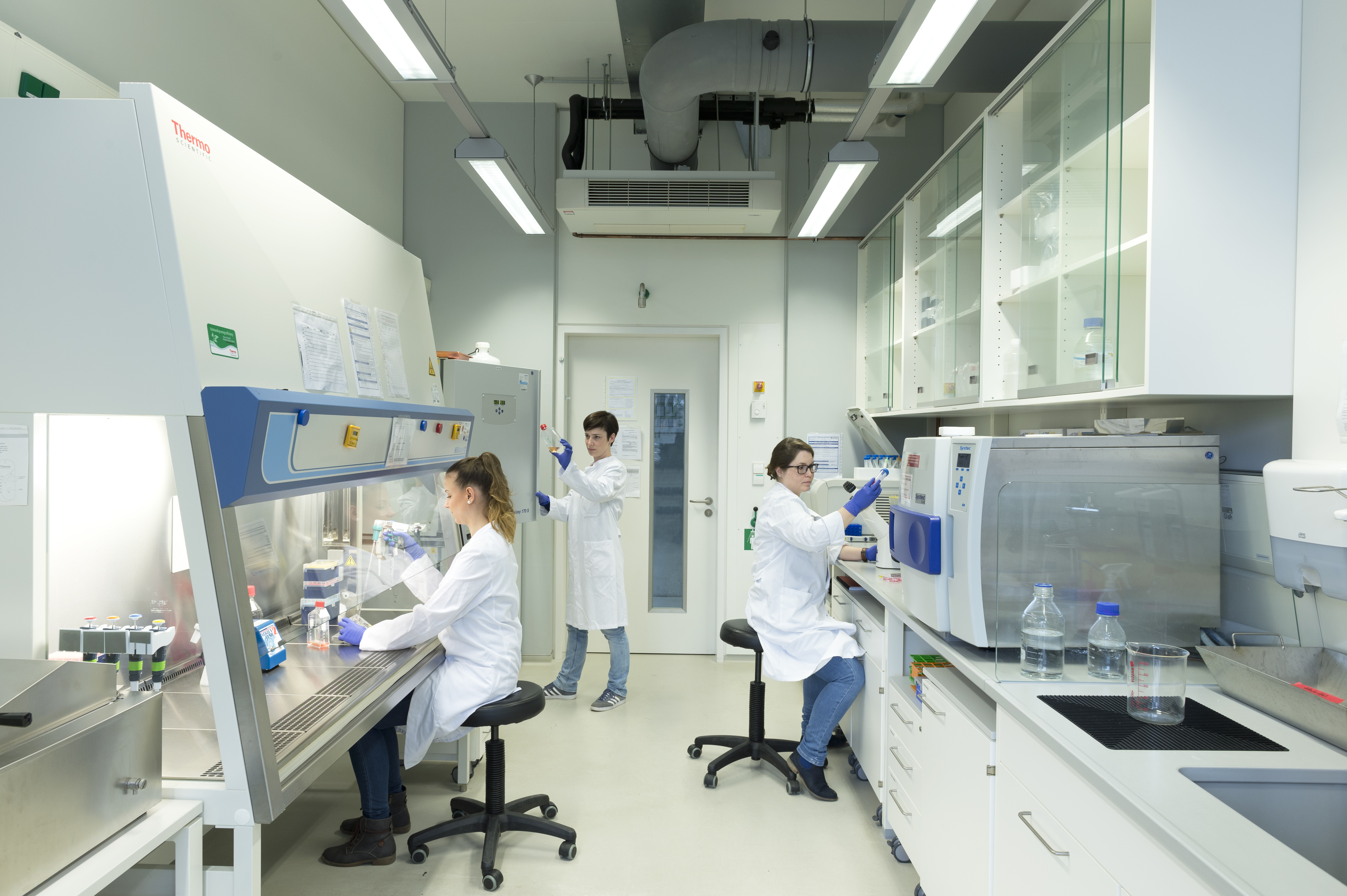 Drei Wissenschaftlern in Laborkitteln arbeiten in einem Labor. Eine Person sitzt an einem Mikroskop, eine arbeitet an einer Sterilbank und eine steht an einem geöffneten Inkubator und betrachtet eine Zellkulturflasche. 