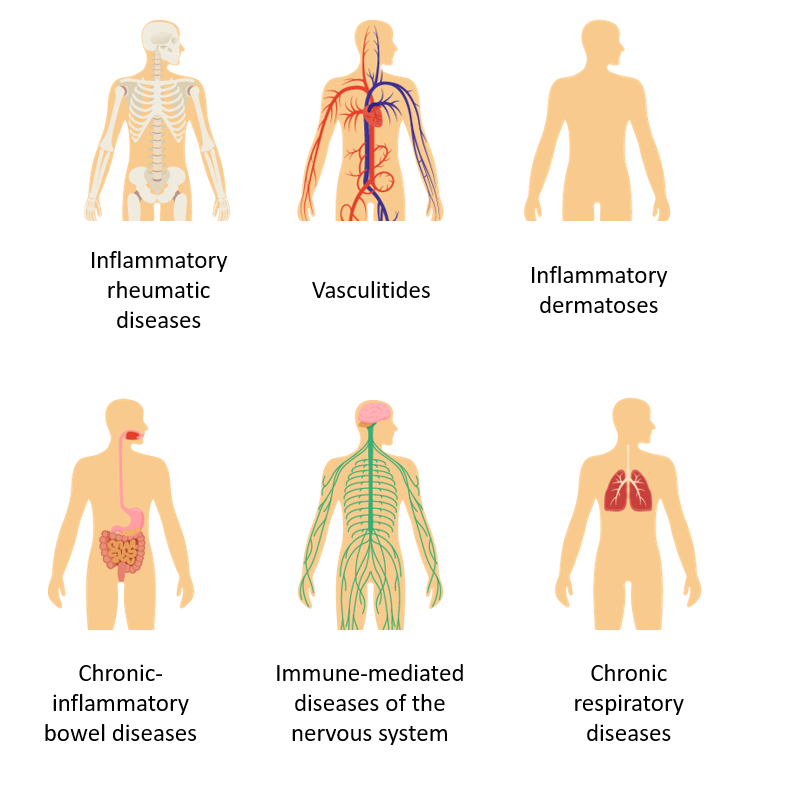 Immune-mediated diseases: Inflammatory rheumatic diseases, Vasculitides, Inflammatory dermatoses, Chronic-inflammatory bowel diseases, Immune-mediated diseases of the nervous system, Chronic respiratory diseases 
