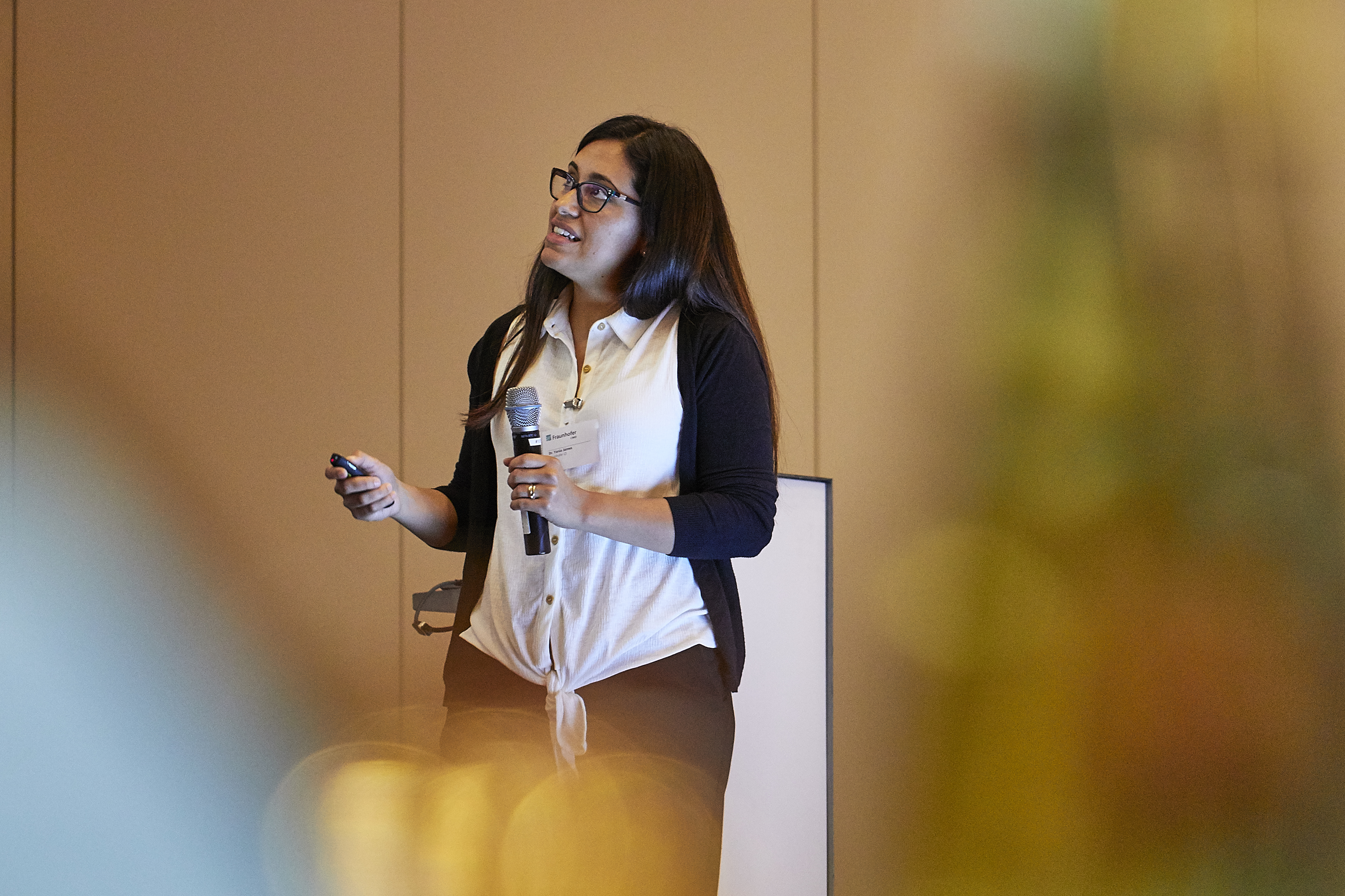 Dr. Yarúa Jaimes, “New transport system for drug delivery in the treatment of rheumatoid arthritis”